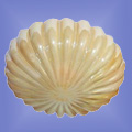 ГС 694 «Ракушка»